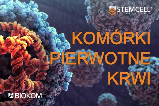 Komórki pierwotne krwi
