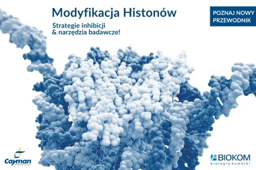 Modyfikacja Histonów